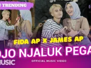 Lirik Lagu Ojo Njaluk Pegat - Fida AP Feat James AP