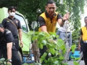 Antisipasi Pohon Tumbang, Ini Yang Dilakukan Polisi Tangerang