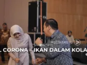 Lirik Lagu Ikan Dalam Kolam - El Corona, Muqadam (Jangan Jangan Dulu Janganlah di Ganggu)