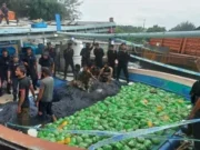 Operasi PRG BNN Pusat Gagalkan Penyelundupan 309 Kg Sabu Di Pulau Panaitan Banten