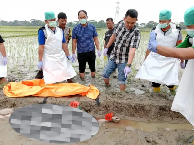 Luka Tusuk Dibagian Dada, Seorang Pria Tewas Di Persawahan Kecamatan Walantaka Kota Serang