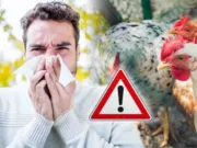 Dinkes Tangerang Tingkatkan kewaspadaan Terhadap Penularan virus Flu Burung