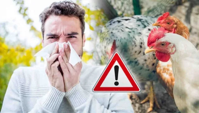 Dinkes Tangerang Tingkatkan kewaspadaan Terhadap Penularan virus Flu Burung