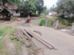 Bertahun-Tahun Jalan Dan Jembatan Di Kecamatan Cinangka Kabupaten Serang Banten Rusak Tak Kunjung Di Perbaiki