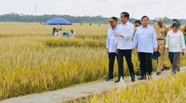 Presiden Jokowi : Minta Badan Pangan Nasional Hitung Harga Gabah Kering Petani