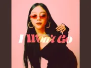 Lirik Lagu I Won't Go - Vionadia