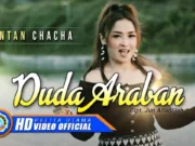 Lirik Lagu Duda Araban dan Terjemahan - Intan Chacha