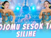 Lirik Lagu Sesok Tak Silihe dan Terjemahan - Niken Salindry