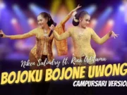 Lirik Lagu Bojoku Bojone Uwong - Niken Salindry, Rina Aditama