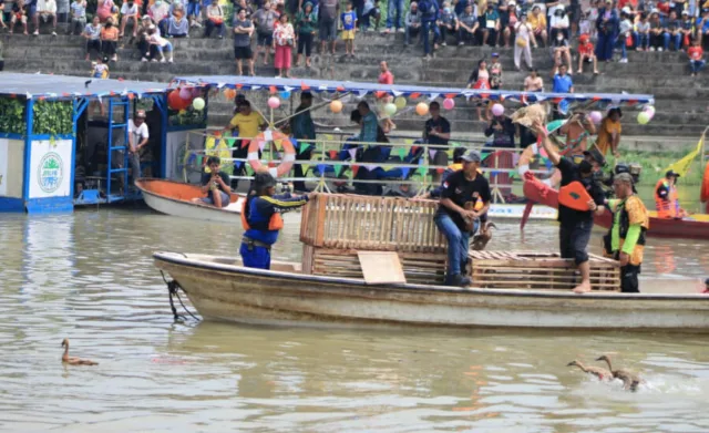 Serunya Festival Peh Cun di Tangerang, Ada Lomba Tangkap Bebek, Lempar Bacang dan Dirikan Telur