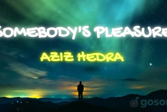 Lirik lagu Somebody's Pleasure - Aziz Hedra