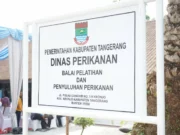 Kepala Dinas Perikanan (Kadiskan) Kabupaten Tangerang, Foto. (Istimewa)