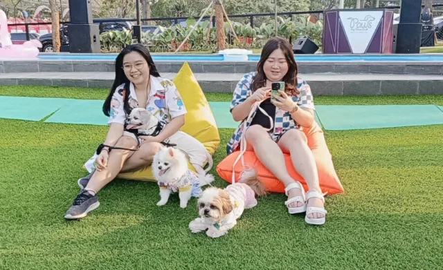 Paws Dog Dream Park Summarecon Mall Serpong: Tempat Bermain dengan Anjing Kesayangan