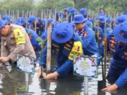 HUT Polairud ke-78, Polisi Bebersih Pantai dan Tanam Mangrove di Tanjung Pasir Tangerang