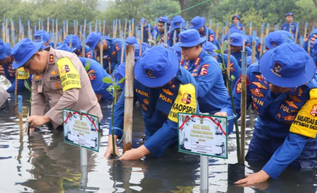 HUT Polairud ke-78, Polisi Bebersih Pantai dan Tanam Mangrove di Tanjung Pasir Tangerang