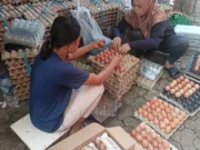 Dinas Pertanian dan Ketahanan Pangan (DPKP) memeriksa bantuan pangan Keluarga Resiko Stunting (KRS) di Gudang Penyimpanan Telur, Foto. (Istimewa)