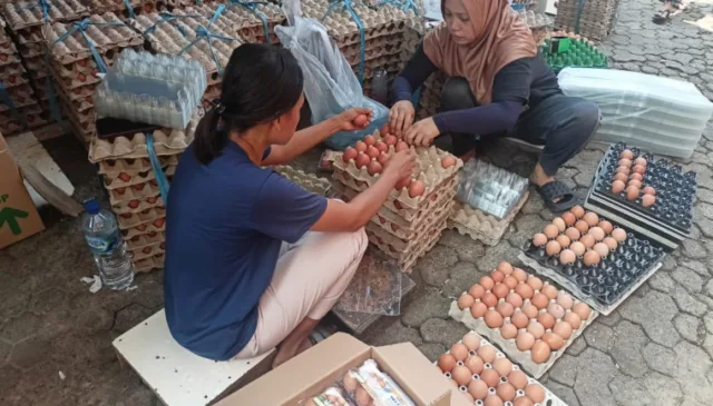 Dinas Pertanian dan Ketahanan Pangan (DPKP) memeriksa bantuan pangan Keluarga Resiko Stunting (KRS) di Gudang Penyimpanan Telur, Foto. (Istimewa)