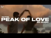 Lirik Lagu Peak of Love - Aldi Haqq