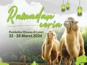 Promo Ramadan Ceria Masuk Taman Safari Bogor Hanya Rp250 Ribu