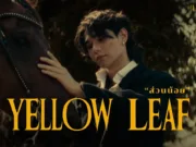 Lirik Lagu Yellow Leaf - Jeff Satur