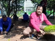 Camat Sepatan bersama stafnya melaksanakan kegiatan penanaman cabe dibelakang halaman Kantor Kecamatan Sepatan,Foto.(Istimewa)