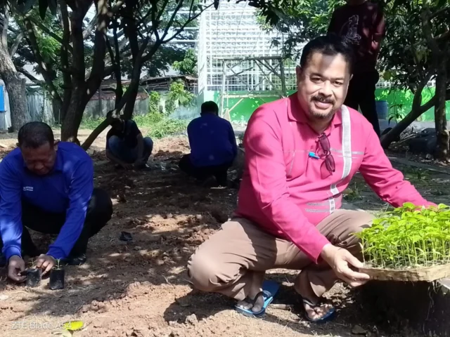 Camat Sepatan bersama stafnya melaksanakan kegiatan penanaman cabe dibelakang halaman Kantor Kecamatan Sepatan,Foto.(Istimewa)