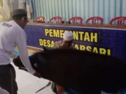 Masyarakat Desa Mekarsari lestarikan budaya seni Bebedulan, pada Rabu (07/08/2024).