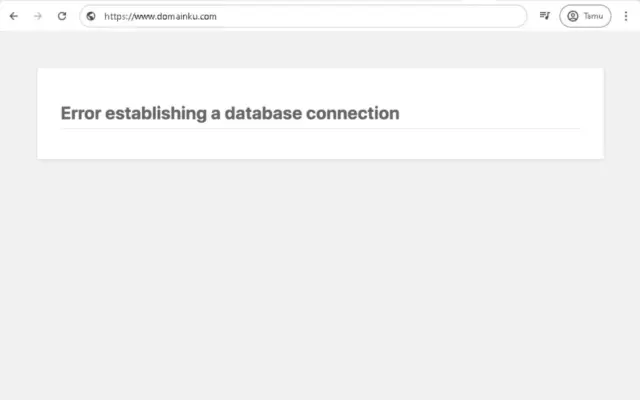 Mengatasi Error Establishing a Database Connection pada WordPress