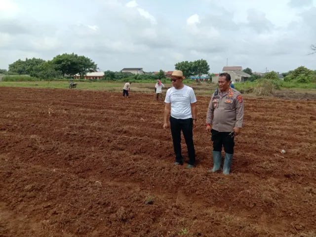 Camat Rajeg dan Kapolsek Rajeg Tinjau Penanaman Jagung, Foto (Istimewa)